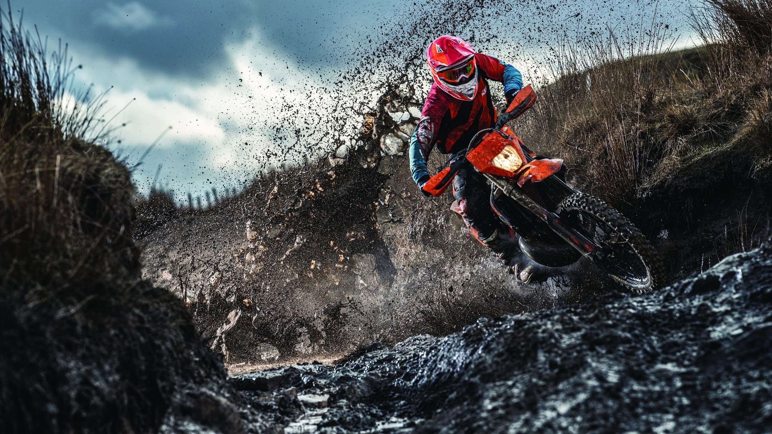 蝶泳项目吉尔吉斯斯坦新星崭露头角，吉尔吉斯斯坦美女旗手