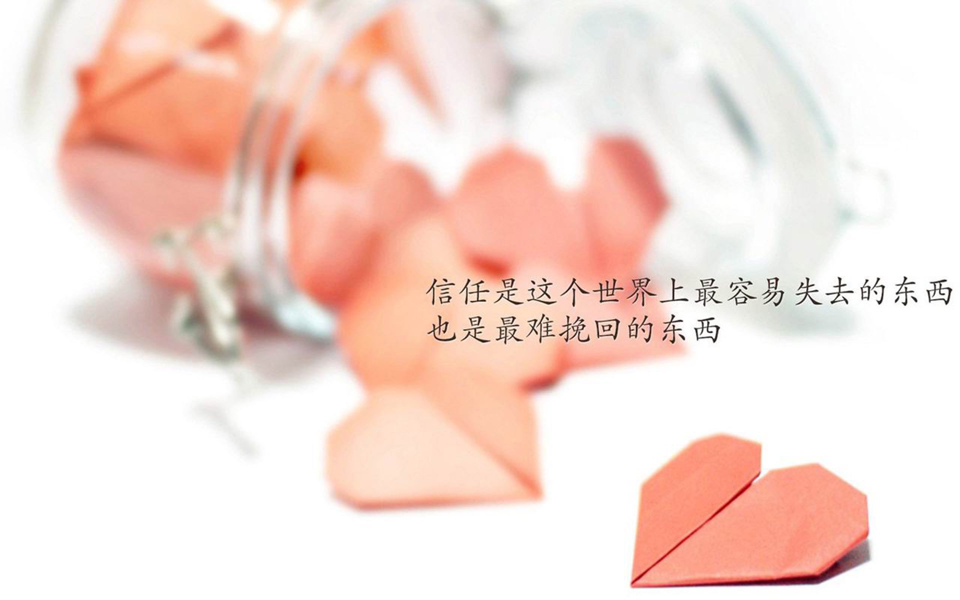 开云体育平台-_青少年自行车骑行节：绿色出行新风尚_，青年自行车骑行活动